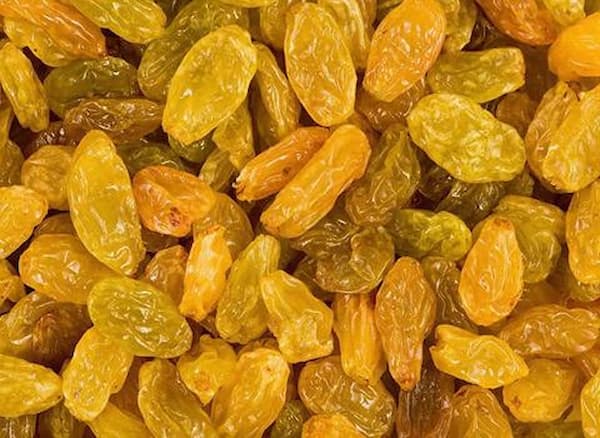 فروش کشمش طلایی کاشمر + قیمت خرید به صرفه